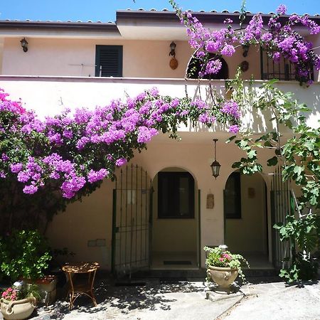 Villa Panthea Capo Vaticano Exterior photo